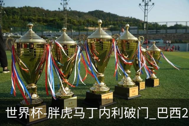 世界杯-胖虎马丁内利破门 巴西2-1逆转读秒绝杀日本